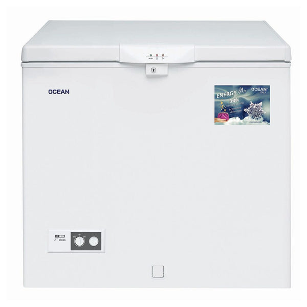OCEAN CONGELATEUR BLANC NJ31-E 310 LITRES